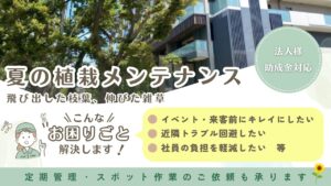 法人向け夏の植栽メンテナンス　アイキャッチ