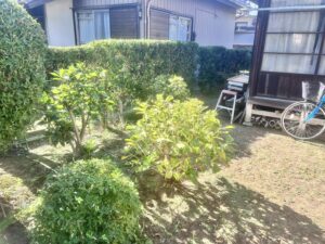 剪定の作業写真