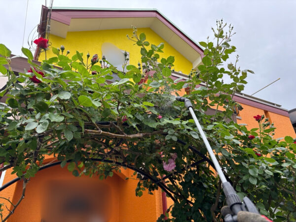 作業写真
