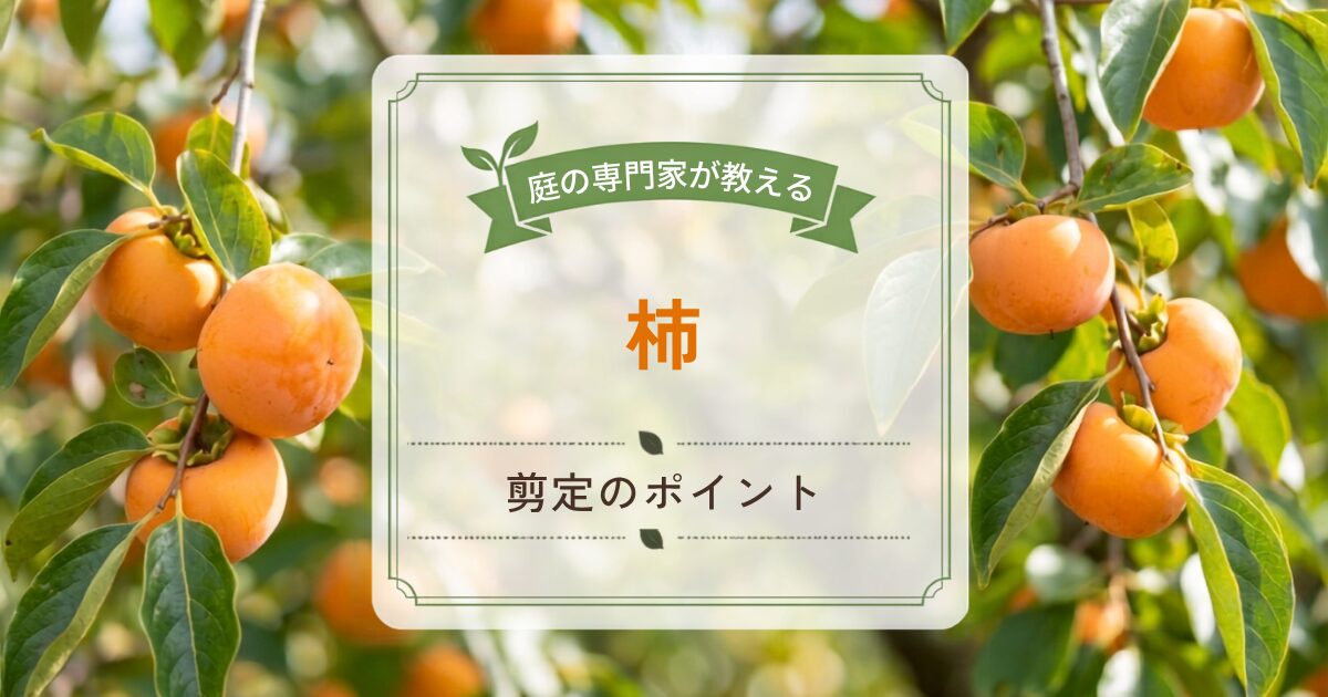 柿の剪定