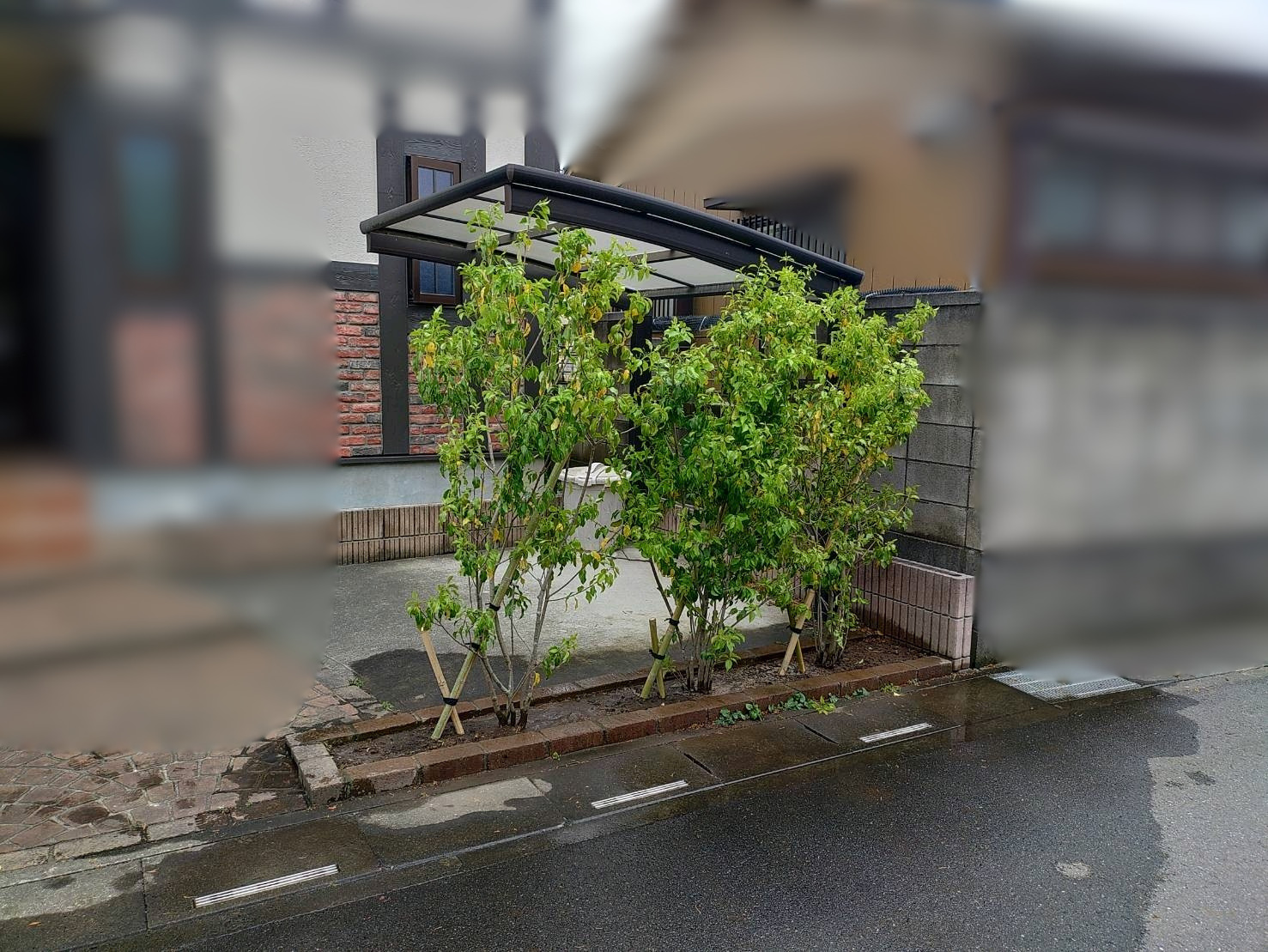 抜根、植樹、支柱の作業写真（作業後）