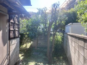 剪定の作業写真