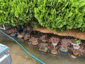 不用品回収の作業写真