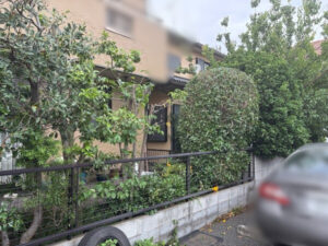 伐採・剪定・刈込の作業写真