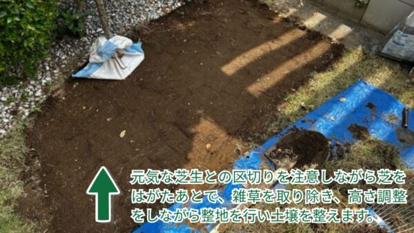 芝生の張り替え作業写真