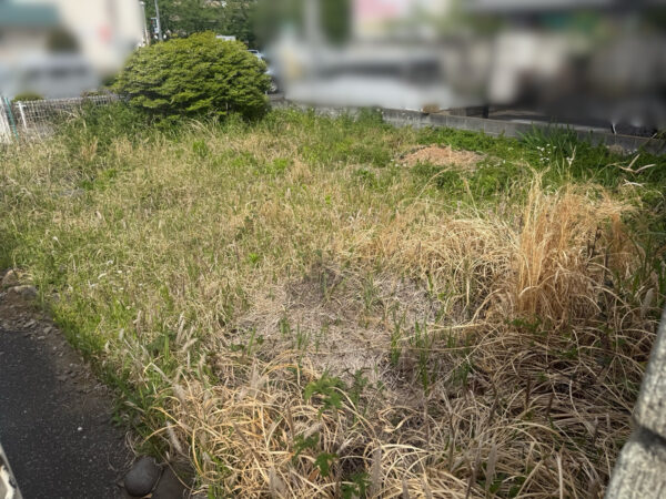 ドッグランづくり(人工芝張り)、植栽の移植・抜根の作業写真
