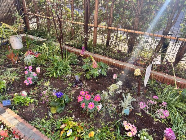 花植え、植樹、バラの誘引の作業事例写真