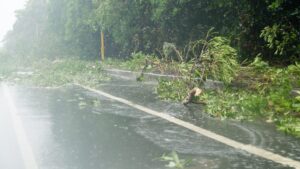 台風