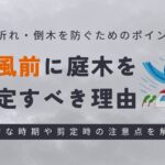 台風前に庭木を剪定すべき理由　アイキャッチ