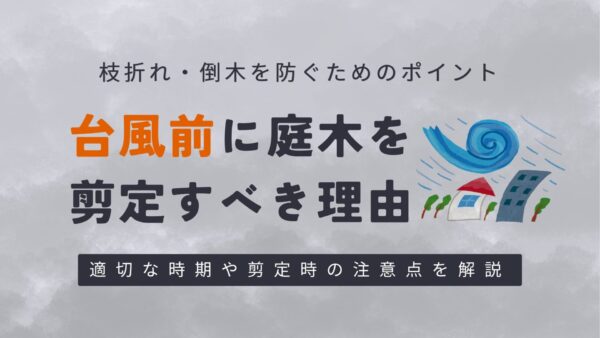 台風前に庭木を剪定すべき理由　アイキャッチ