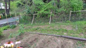 畑の耕運・野菜の植え付けの作業写真