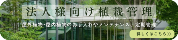 法人向け植栽管理バナー