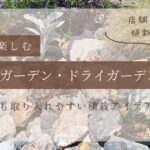 ロックガーデン、ドライガーデン アイキャッチ