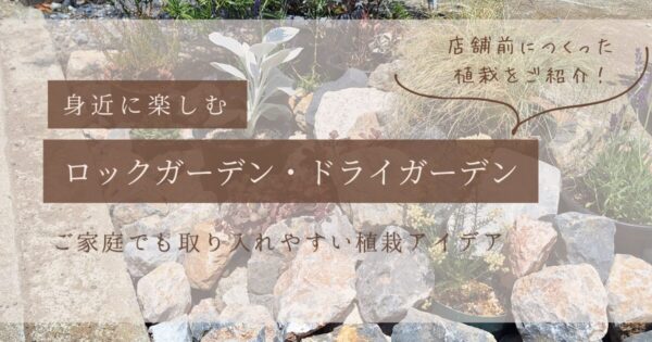 ロックガーデン、ドライガーデン　アイキャッチ