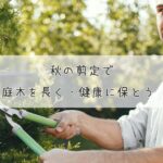 秋の剪定で庭木を長く・健康に保とう