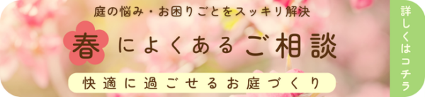 春のお知らせ　バナー　