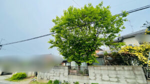 作業前写真