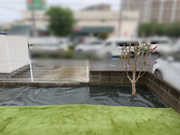 ドッグランづくり(人工芝張り)、植栽の移植・抜根の作業写真