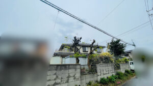 作業後写真
