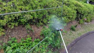 バラ消毒　作業写真