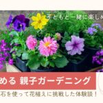 手軽に始めるガーデニング｜無料の鉢を使って親子でチャレンジ　アイキャッチ