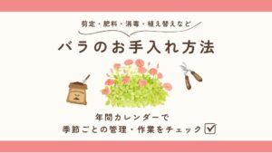 バラのお手入れ年間カレンダーアイキャッチ