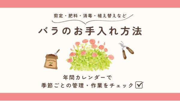バラのお手入れ年間カレンダーアイキャッチ