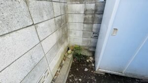 刈込剪定、草取りの作業写真