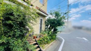 剪定,薔薇の作業写真