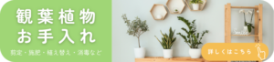 観葉植物お手入れバナー