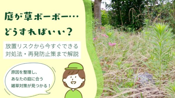 庭が草ボーボーどうしたらいい？　アイキャッチ画像