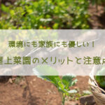 環境にも家族にも優しい!屋上菜園のメリットと注意点