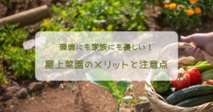 環境にも家族にも優しい！屋上菜園のメリットと注意点