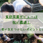 家庭菜園デビューは秋が最適!初心者が気をつけたいポイントとは?