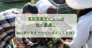家庭菜園デビューは秋が最適！初心者が気をつけたいポイントとは？