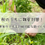 秋のうちに雑草対策！来年ラクする持続可能な庭づくり