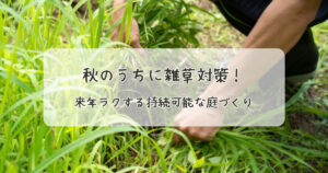 秋のうちに雑草対策！来年ラクする持続可能な庭づくり