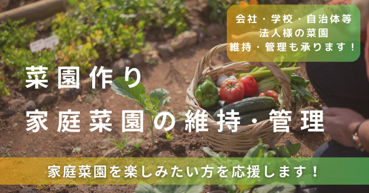 家庭菜園　アイキャッチ