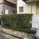 剪定・刈込・伐採・抜根・不用品回収・除草の作業写真