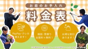料金表　アイキャッチ