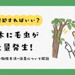 庭木に毛虫大量発生　アイキャッチ