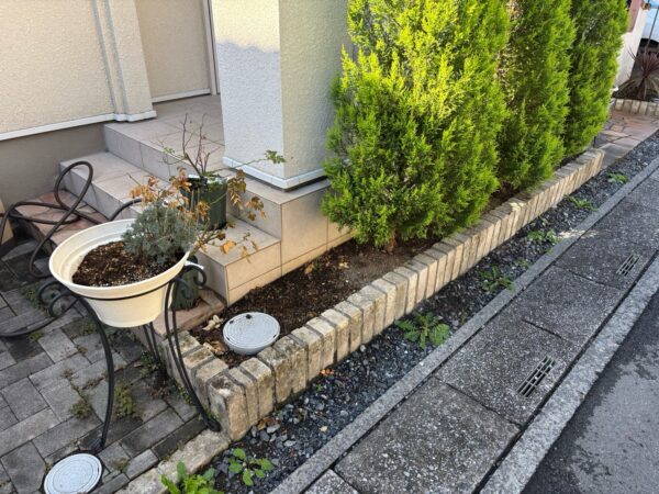 バラの植え替えの作業写真