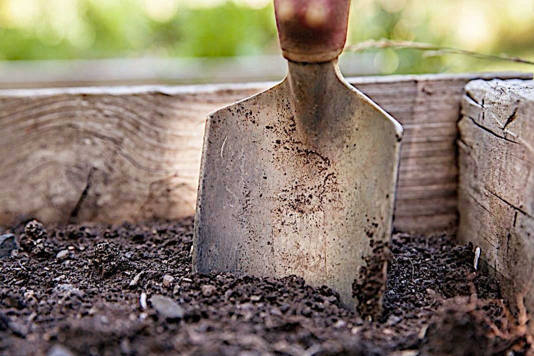 園芸用の土の処分はどうしたらいいですか？（埼玉県） | お庭の専門店ニワナショナル（東京・埼玉）