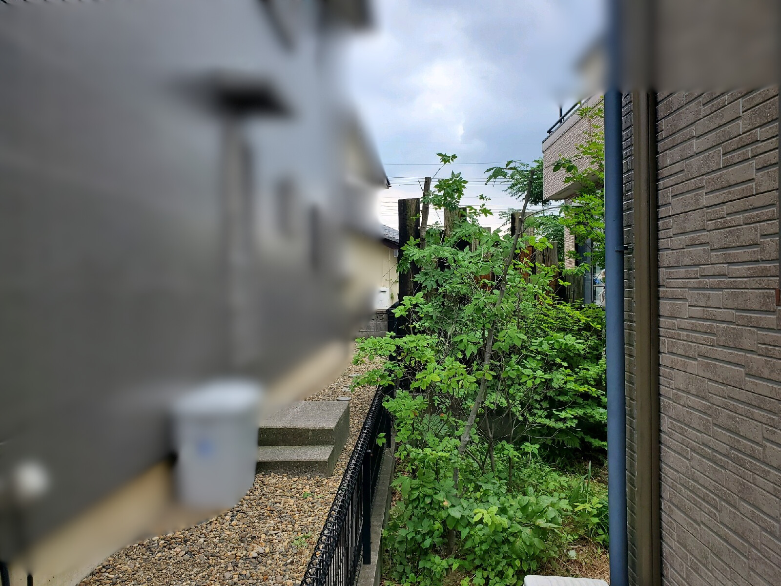 剪定の作業写真