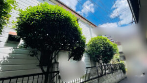作業前写真
