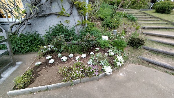 花植え作業写真