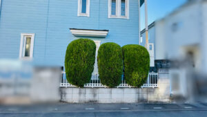 刈込剪定、草取りの作業写真