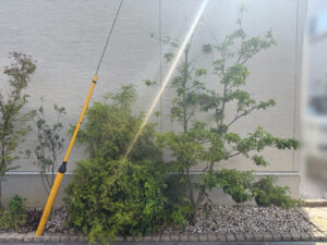 剪定・抜根・植樹の作業写真