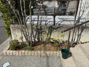 花植え・移植の作業写真