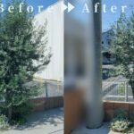 作業前後の写真